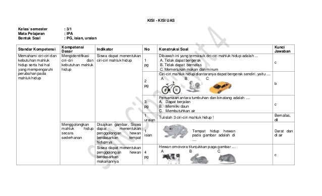 7 Langkah Rahasia Menyusun Indikator Soal IPA Kelas 3 SD yang Terbukti Efektif 2026